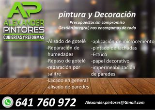 PINTOR PROFESIONAL