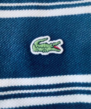 Polo Lacoste bambino