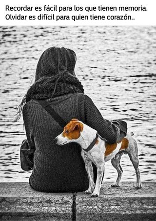 Cuidado personas mayores