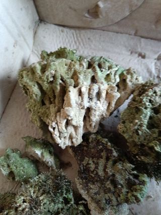 OFERTA 🪨 Roca acuario marino