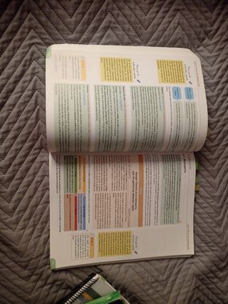 Economía 1 de bachillerato