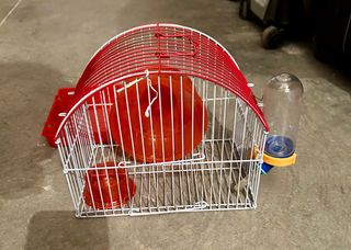Jaula hamster