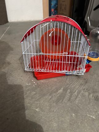 Jaula hamster