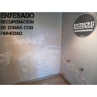 Pintor profesional 