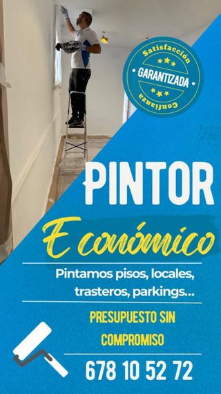 Pintor económico