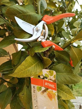Tesouras de poda PG10 e PG20 STIHL