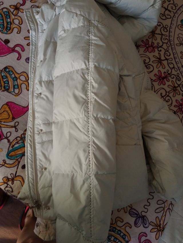 Plumífero Plumón de pato