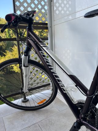 bicicleta de paseo de chica. Precio original 500€