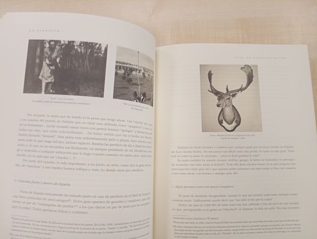 EN PLENITUD, GABRIELA MAURA, CAZADORA - CAZA -  C - foto 3