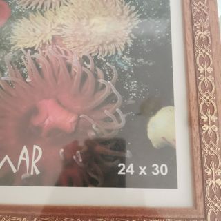 Marco de foto 30x36 int24x30