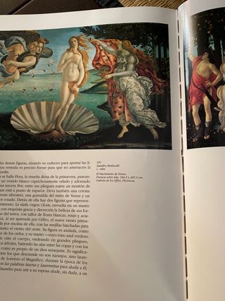 Summa Pictorica. El Renacimiento Italiano