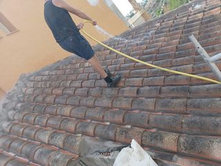 Cubiertas y tejas TLF.651429938