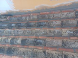 Cubiertas y tejas TLF.651429938