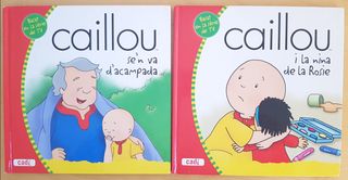 Lote 2 cuentos infantiles en catalán