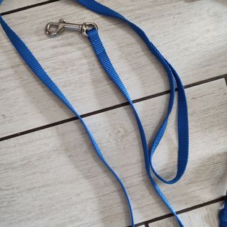 Accessori cane/gatto