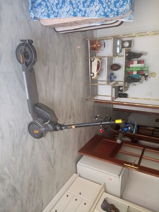 Patine electrónico