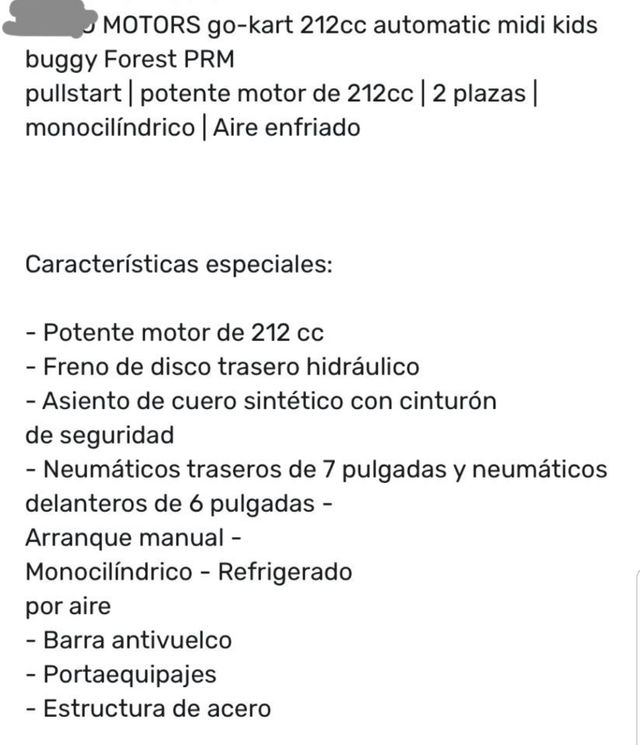 BUGGY GASOLINA INFANTIL