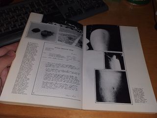 INTRUSOS. LAS INCREÍBLES VISITAS A COPLEY WOODS