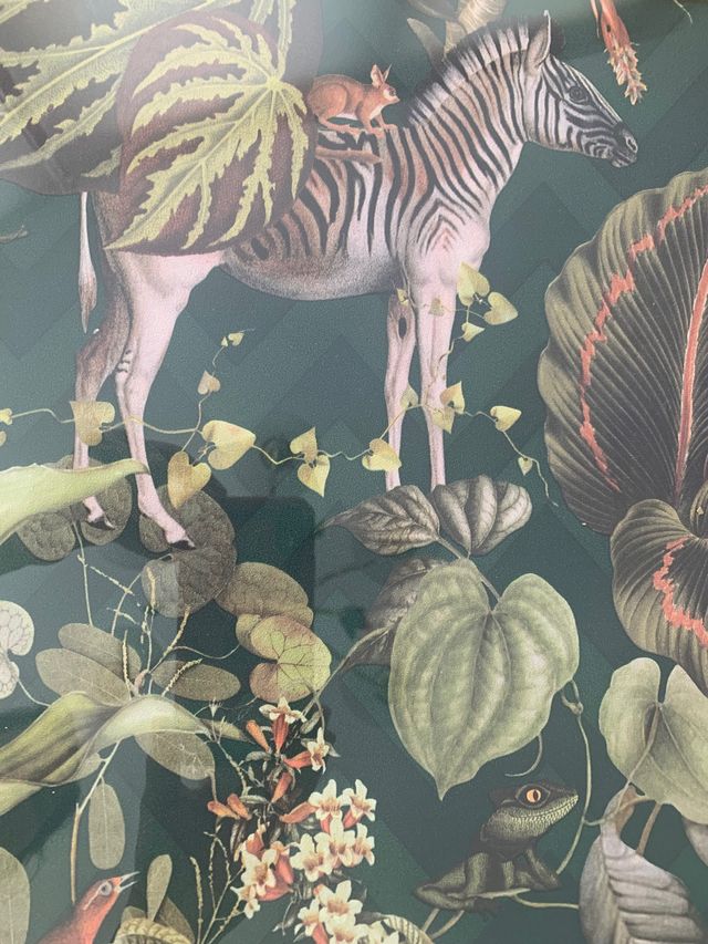 LAMINA ENMARCADA ANIMALES