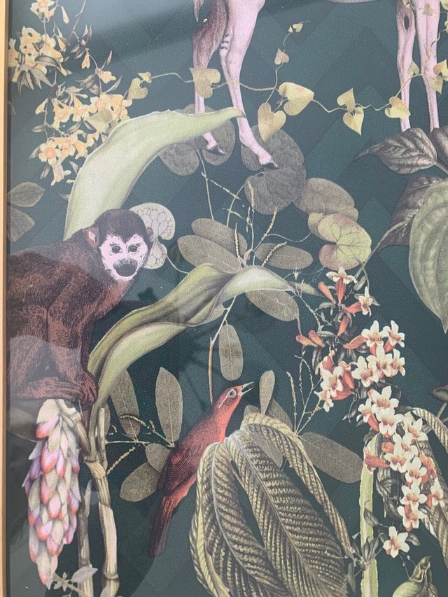 LAMINA ENMARCADA ANIMALES