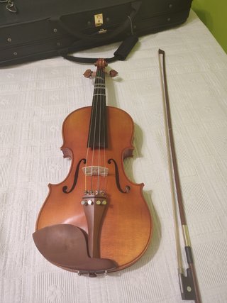 Violín