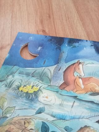 OFERTA!!! Libro El bosque dormido