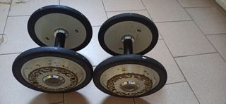 Manubri TECHNOGYM