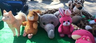pack peluches