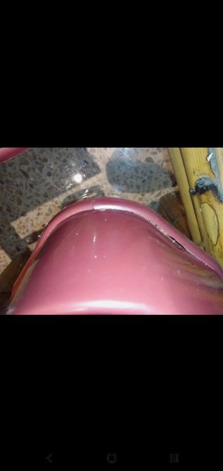 Accesorios para roedores