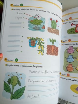 Libros segundo primaria