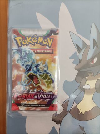 Pokémon Packs Coleccionista Álbum Grande+Sobre tcg