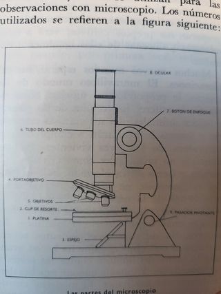 Microscopio