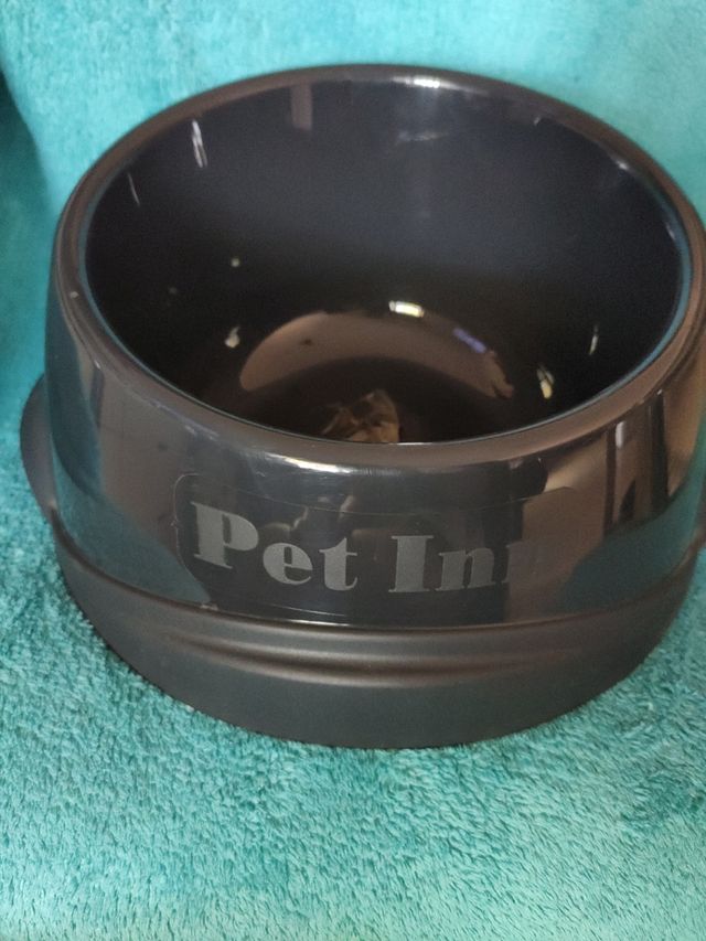 Ciotola per cibo per cani grigia inclinata