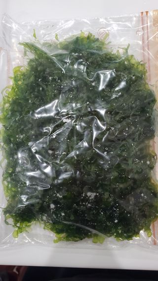 Musgo Pellia Moss acuario