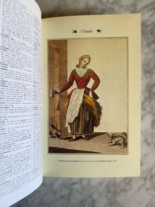 Diccionario de la Lengua Española