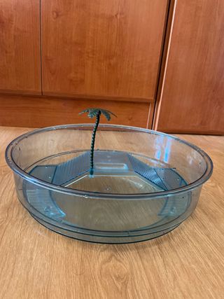 Acuario tortuga