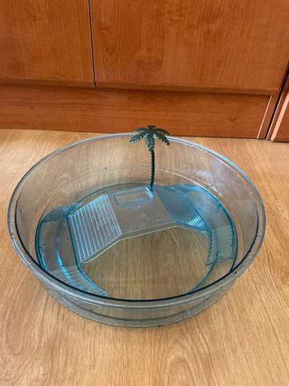 Acuario tortuga