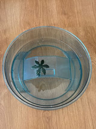Acuario tortuga