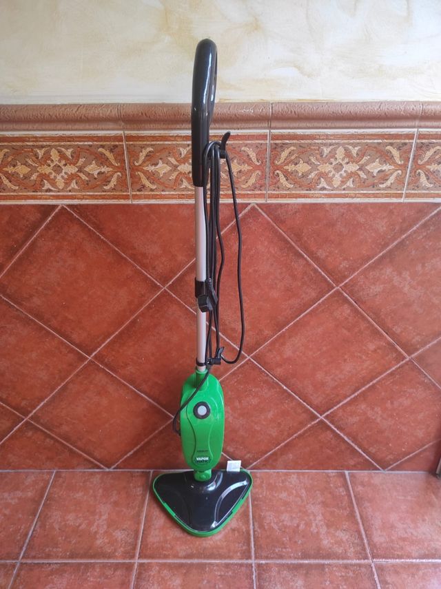 Limpiador de vapor