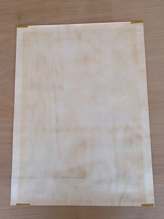 Litografía de ANDREU FRESQUET (1976)