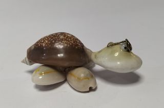 Mini tortuga conchas