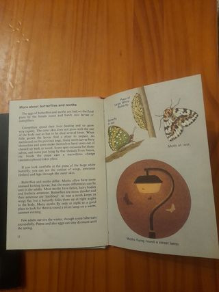 The Elephant man Y otro de regalo