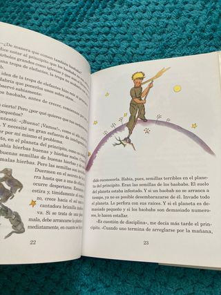 libro el peincipito