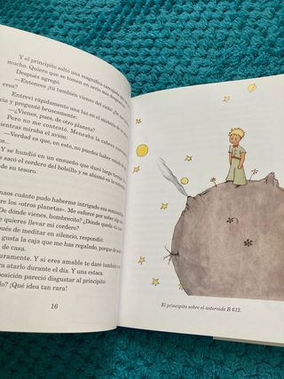 libro el peincipito