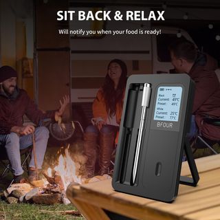 Termómetro inalámbrico para carne con 2 sondas PRO