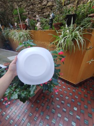 Piatti piani colore bianco lucido