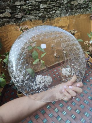 piatto da portata in vetro trasparente VIDIVI