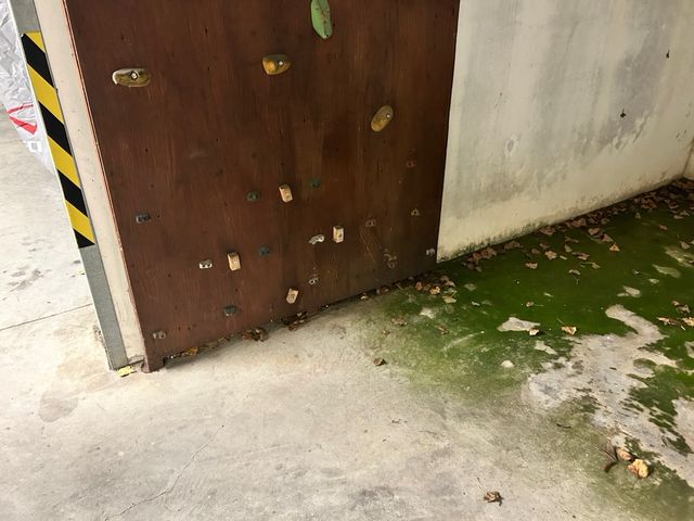 parete per arrampicata