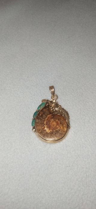 Colgante de plata con piedra semejante a fósil