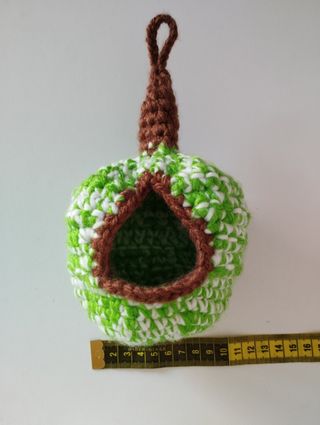 Nido agaporni o similar